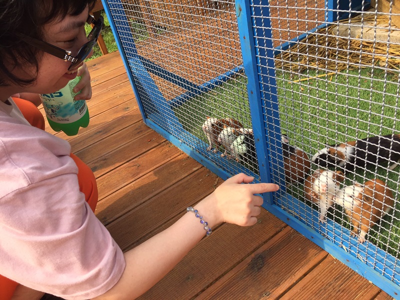 경기도장애인재활프로그램 '탁월한선택' 6월 배낭여행